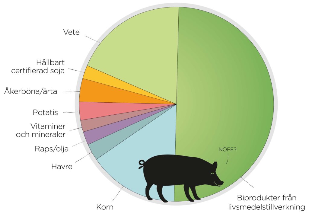 Vad äter en svensk gris?