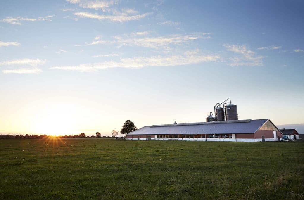 Generation Z vill värna om det svenska jordbruket