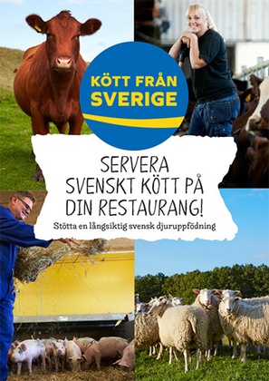 Servera svenskt kött på din restaurang broschyr