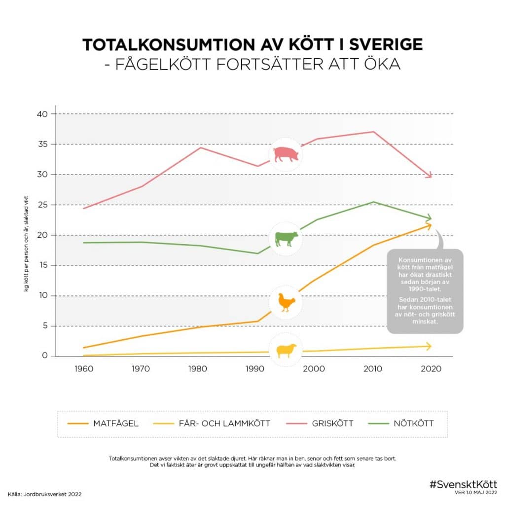 Totalkonsumtion av kött i Sverige – fågelkött fortsätter att öka