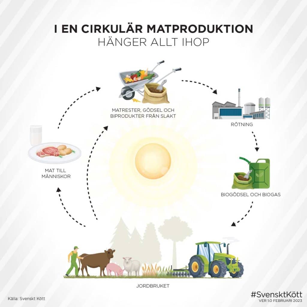Cirkulär matproduktion