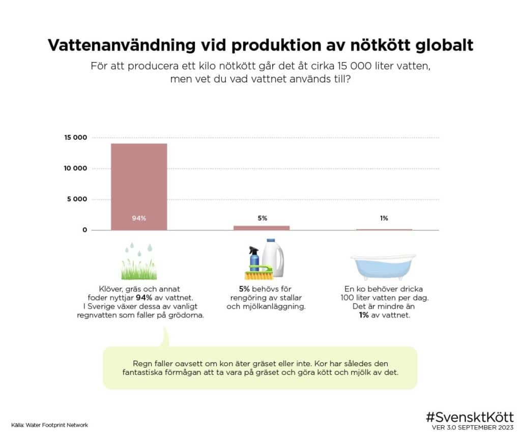 Vattenanvändning vid produktion av nötkött globalt