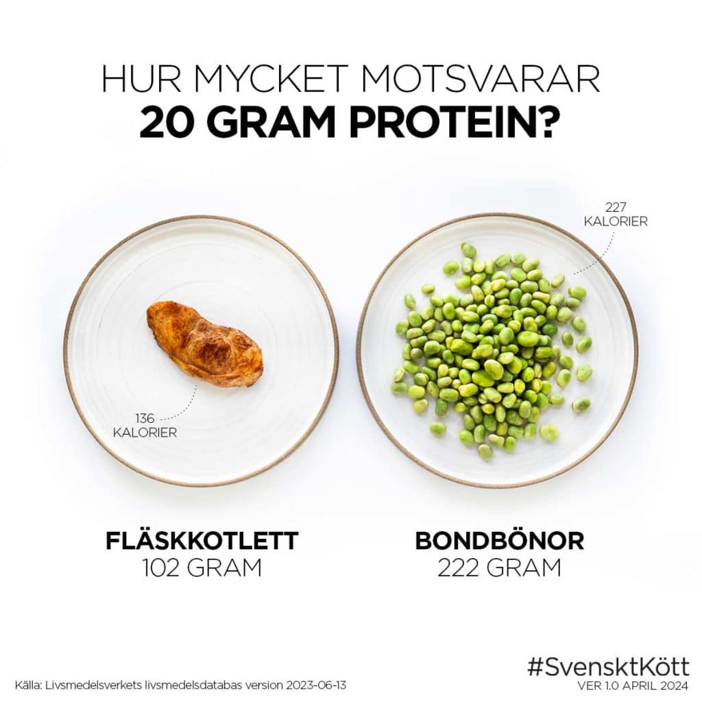 Hur mycket motsvarar 20 gram protein?
