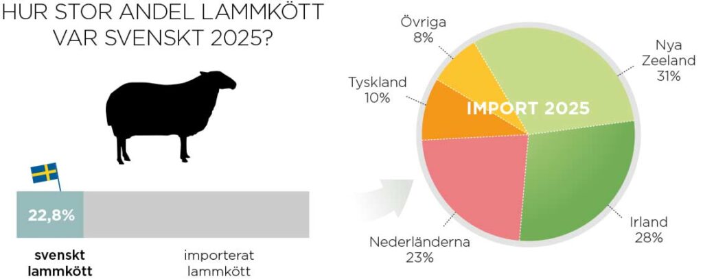 Import av lammkött 2025
