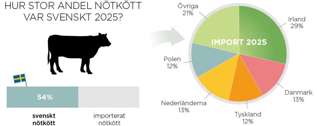 Import av nötkött 2025