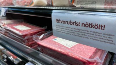 Därför har Sverige goda förutsättningar för köttproduktion