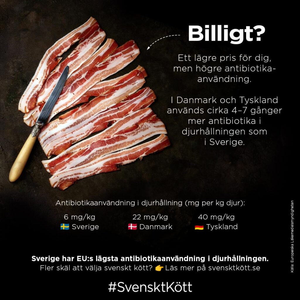 I Danmark och TYskland används cirka 4–7 gånger med antibiotika i djurhållningen som i Sverige
