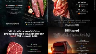 Varför ska man betala mer för svenskt kött?